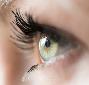 Eyelashes