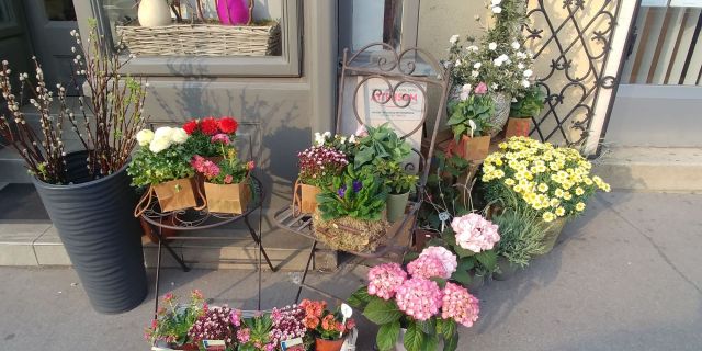 FlowerShop